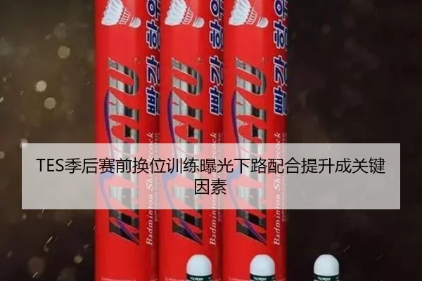 TES季后赛前换位训练曝光下路配合提升成关键因素
